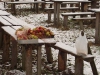 zdobeni17v