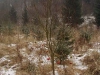 zdobeni25v