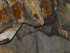 stola16v