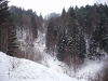 stola36v