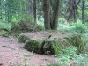 vodni_dila_008