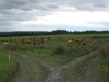 vylet_klokocov_05